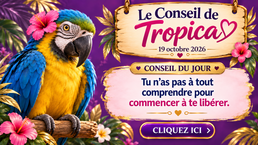 🦜 Le Conseil de Tropica – 19 octobre 2026